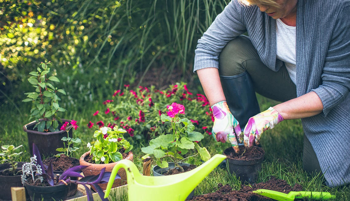 Benefits of Aquaponics Compared To Soil Based Agriculture