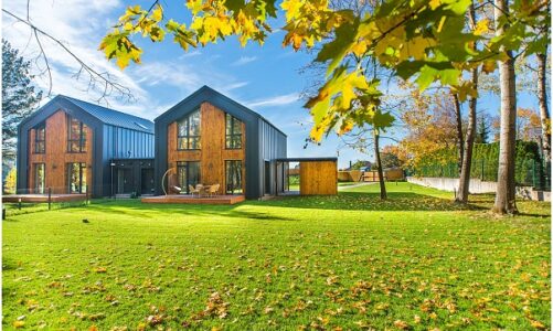 Tips for Good Lawn Care in Winters