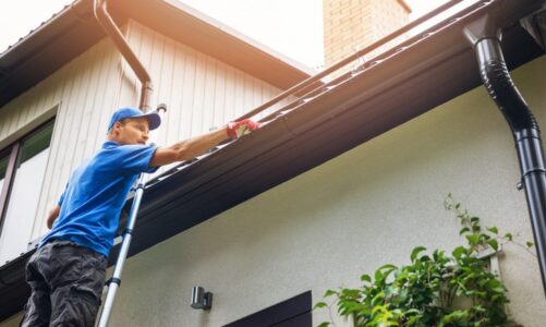 Take full advantage of gutter cleaning!!