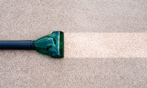 Do you think you can clean up your carpet alone?