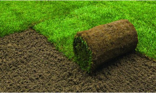 How can we obtain the best soil for the turf?