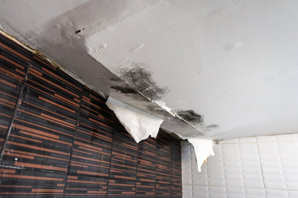 What Damage Can a Leaking Roof Cause? ZE Architecture