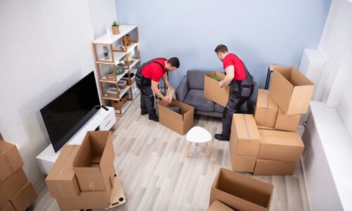 The functions and duties of packers and movers in moving home