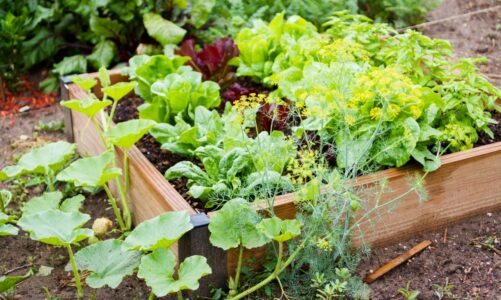 Top Tips For Eco-Friendly Garden Design