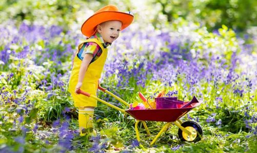 Designing A Garden For Your Children To Enjoy