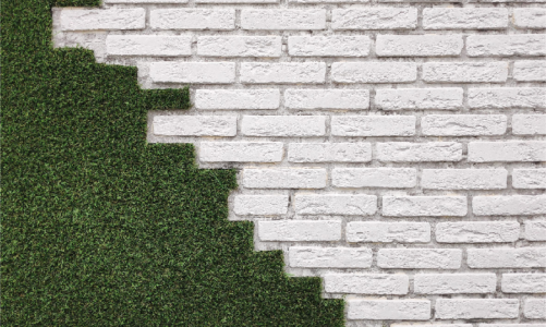 GRASS FENCE: WALL DESIGN IDEAS