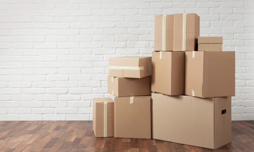 Cardboard Shifting Boxes Vs Rental Plastic Boxes – Which of the Two is Better? 