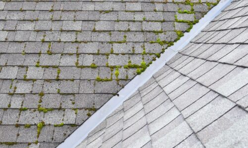 Most Common Types of Roof Damage Threatening Your Home