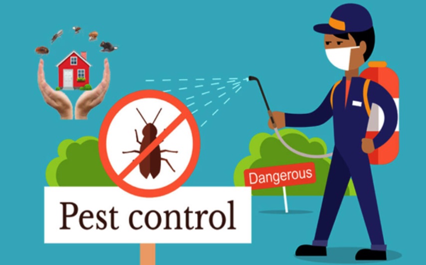 Professional For Pest Control In Newcastle