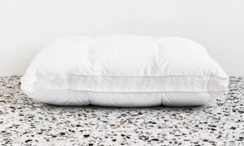 4 Extraordinary Reasons To Start Using A Bamboo Pillow Sooner Than Later