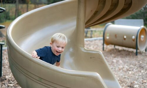 DIY Backyard Playground: How to Create a Park for Kids